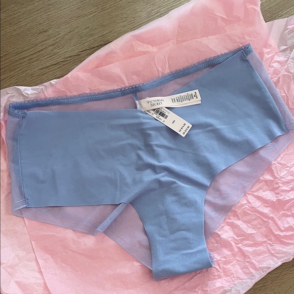 Victoria's Secret Soft Blue cheeky Medium underwear NWT - Picture 1 of 5